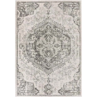 Šedo-krémový koberec 160x230 cm Nova – Asiatic Carpets