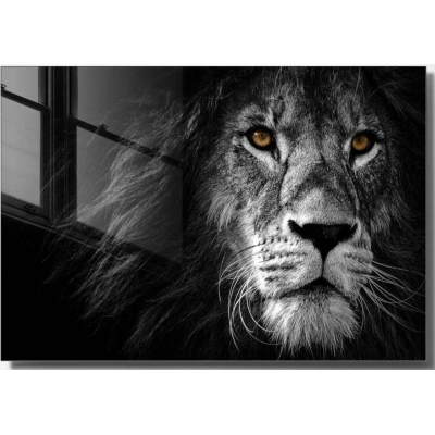 Skleněný obraz 70x50 cm Lion – Wallity