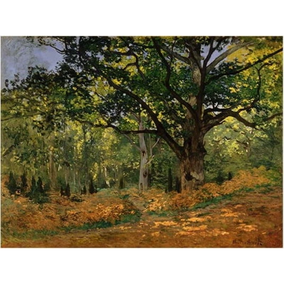 Reprodukce obrazu Claude Monet - The Bodmer Oak, Fontainebleau Forest, 70 x 50 cm