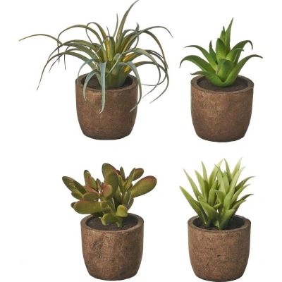 Umělé rostliny v sadě 4 ks (výška 10 cm) Cactus – Casa Selección