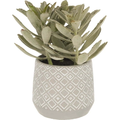 Umělý sukulent (výška 23 cm) Kalanchoe Tomentosa – Kave Home