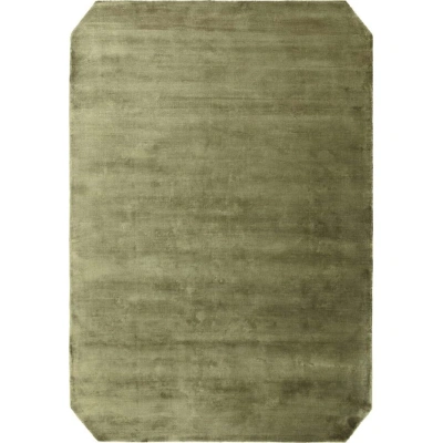 Zelený ručně tkaný koberec 200x290 cm Gleam – Asiatic Carpets