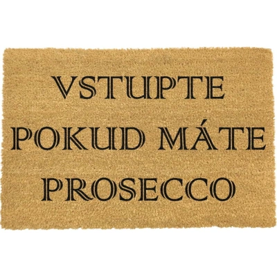 Rohožka z přírodního kokosového vlákna Artsy Doormats Prosecco, 40 x 60 cm