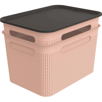 Světle růžové plastové úložné boxy s víkem v sadě 2 ks 26,5x36,5x26 cm Brisen – Rotho