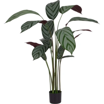 Umělá rostlina (výška 150 cm) Calathea – Ixia