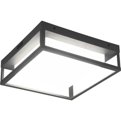 LED nástěnné venkovní svítidlo (výška 10 cm) Witham – Trio